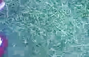 सी अपने गले में सब कुछ ले हिंदी सेक्स हिंदी सेक्स मूवी लो