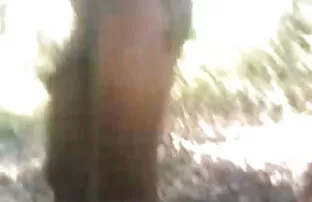 तीन हॉट बेब्स डीप थ्रोटिंग बड़ा सेक्सी मूवी फुल वीडियो एचडी डिक
