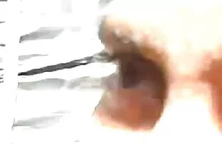 एक मुर्गा अंग्रेजी बीएफ मूवी सेक्सी लेता है, शैली