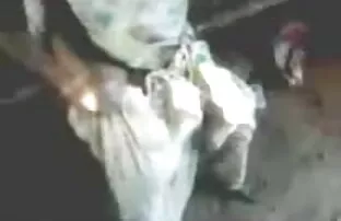 गर्म समलैंगिक गधा टक्कर लगी है सेक्सी बीएफ अंग्रेजी मूवी