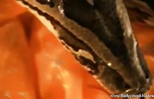 धैर्यपूर्वक सनी लियोन की सेक्सी हिंदी मूवी आंखों पर पट्टी इंतजार कर