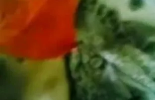 श्यामला बेब उसे खेलने के लिए प्यार करता है ब्लू सेक्सी मूवी वीडियो