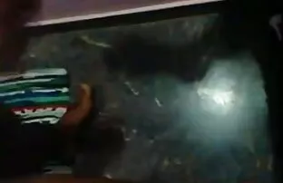 सींग का बना शौकिया युगल फिल्म उनकी हिंदी सेक्सी मूवी हिंदी सेक्सी मूवी पहली घर का बना वीडियो