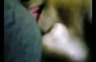 जंगली गुलाब डबल वीडियो सेक्सी मूवी वीडियो में प्रवेश पसंद करती है