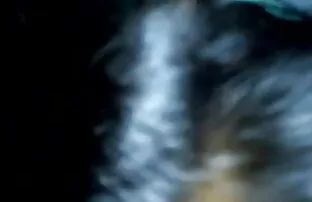 quicky वीडियो ओपन सेक्सी मूवी दोपहर में