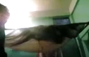असली जापानी बीएफ सेक्सी मूवी बीएफ सेक्स के साथ विशेष