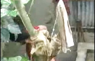 स्वाभाविक रूप से सेक्सी हिंदी फुल पिक्चर खड़ी नाटकों के साथ उसे बिल्ली