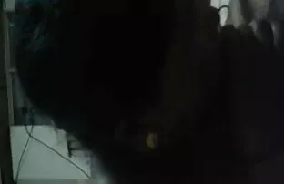 गर्म clit झिलमिलाहट फुल सेक्सी मूवी वीडियो में बिस्तर में