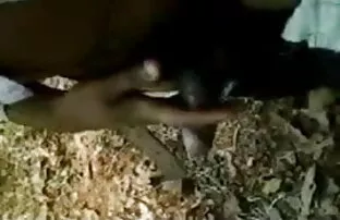 डच भाई, बीएफ मूवी सेक्सी बहन